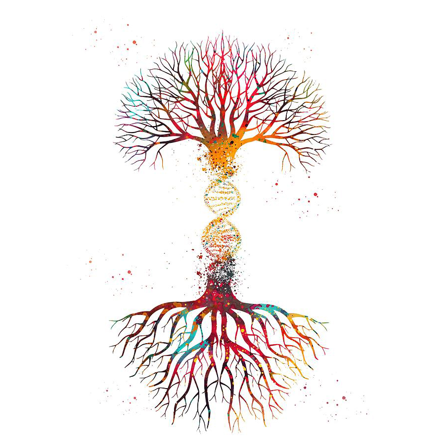 árbol con tronco como un ADN doble hélice y raíces